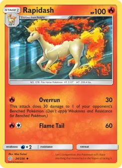 Pokémon-Karte Rapidash 024/236