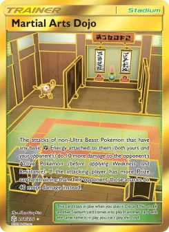 Pokémon-Karte Martial Arts Dojo 268/236