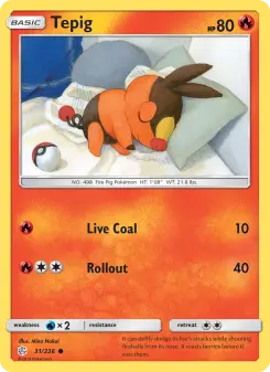Pokémon-Karte Tepig 031/236