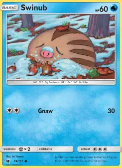 Pokémon-Karte Swinub 019/111