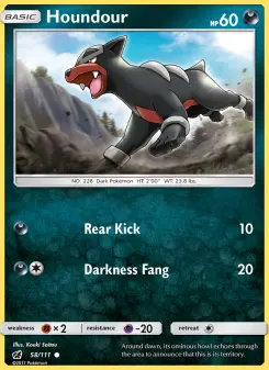 Pokémon-Karte Houndour 058/111