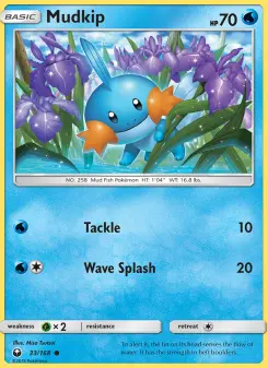Pokémon-Karte Mudkip 033/168