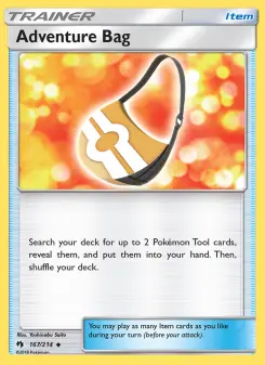 Pokémon-Karte Adventure Bag 167/214