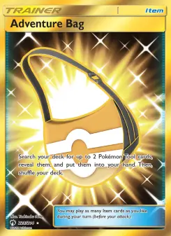 Pokémon-Karte Adventure Bag 228/214