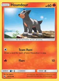 Pokémon-Karte Houndour 045/214
