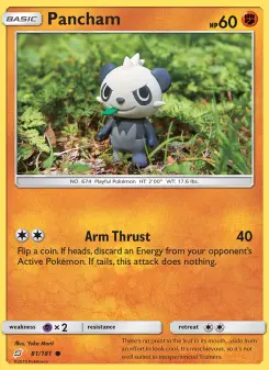 Pokémon-Karte Pancham 081/181