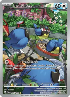 Pokémon-Karte Rookidee 225/193