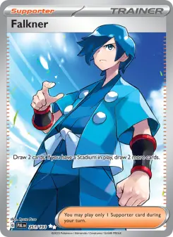 Pokémon-Karte Falkner 251/193