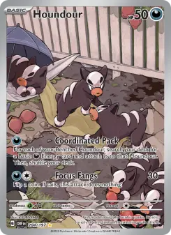 Pokémon-Karte Houndour 204/197