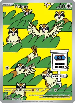 Pokémon-Karte Pidgey 207/197
