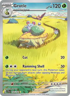 Pokémon-Karte Grotle 164/162