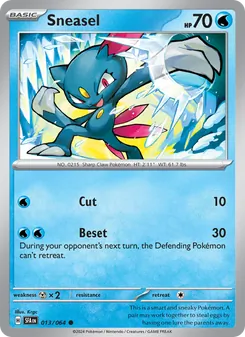 Pokémon-Karte Sneasel 013/064