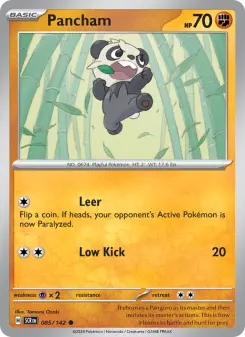 Pokémon-Karte Pancham 085/142