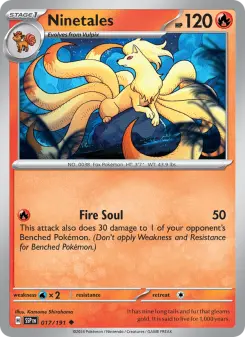 Pokémon-Karte Ninetales 017/191