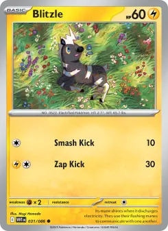 Pokémon-Karte Blitzle 031/086