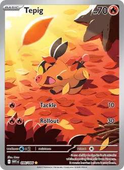 Pokémon-Karte Tepig 096/086