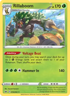 Pokémon-Karte Rillaboom 014/202