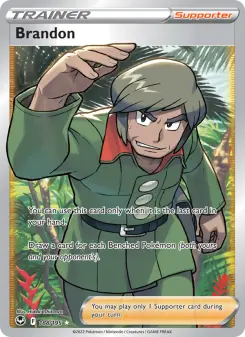 Pokémon-Karte Brandon 188/195