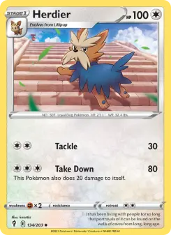 Pokémon-Karte Herdier 134/203