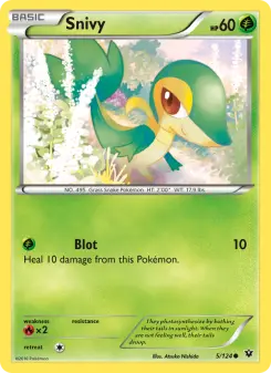 Pokémon-Karte Snivy 005/124
