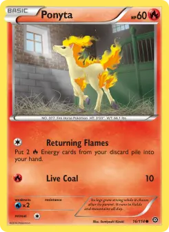 Pokémon-Karte Ponyta 016/114