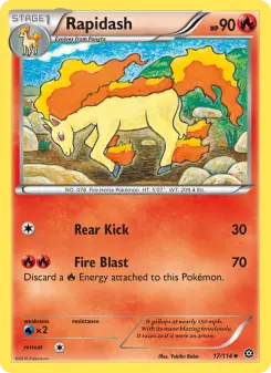 Pokémon-Karte Rapidash 017/114