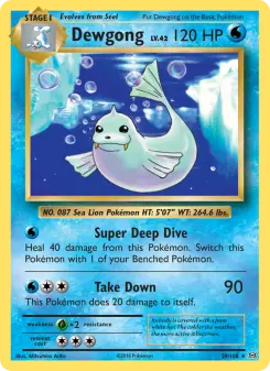 Pokémon-Karte Dewgong 029/108