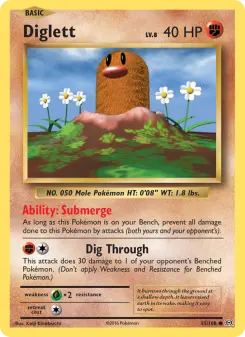Pokémon-Karte Diglett 055/108