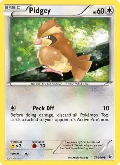 Pokémon-Karte Pidgey 075/106