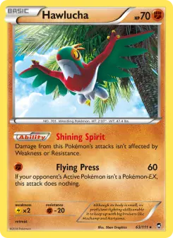 Pokémon-Karte Hawlucha 063/111