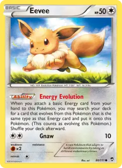 Pokémon-Karte Eevee 080/111