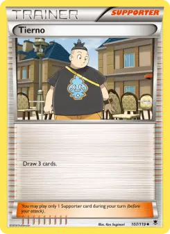 Pokémon-Karte Tierno 107/119