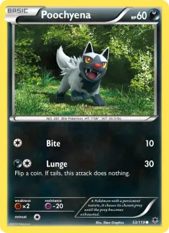 Pokémon-Karte Poochyena 053/119