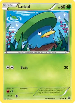Pokémon-Karte Lotad 010/160