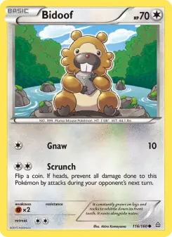 Pokémon-Karte Bidoof 116/160