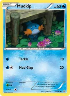 Pokémon-Karte Mudkip 033/160