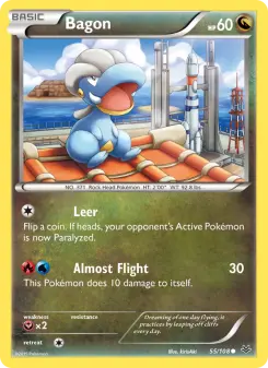 Pokémon-Karte Bagon 055/108