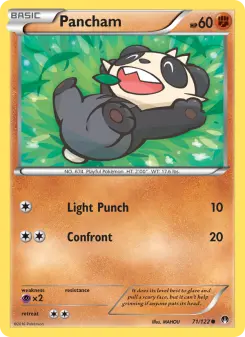 Pokémon-Karte Pancham 071/122