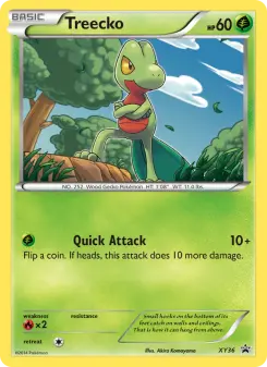Pokémon-Karte Geckarbor XY36