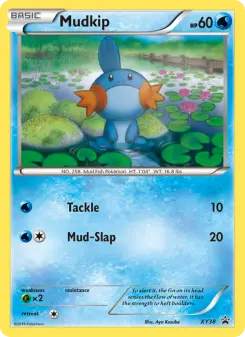 Pokémon-Karte Hydropi XY38