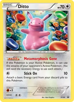 Pokémon-Karte Ditto XY40