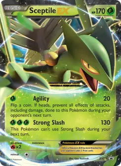 Pokémon-Karte Gewaldro EX XY53