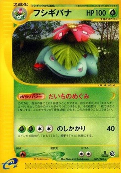 Pokémon-Karte Venusaur 065/000