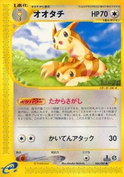 Pokémon-Karte Furret 066/000