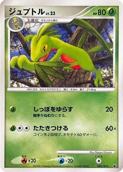 Pokémon-Karte Grovyle 002/000