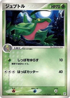 Pokémon-Karte Grovyle 002/000