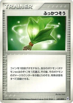 Pokémon-Karte Life Herb 011/000