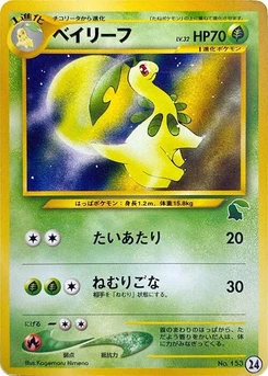Pokémon-Karte Bayleef 24.0