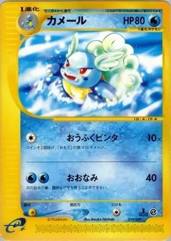 Pokémon-Karte Wartortle 019/000