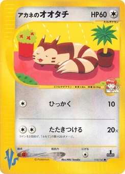 Pokémon-Karte Whitney's Furret 018/000